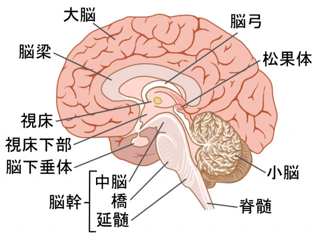 生理 中 ムラ つく